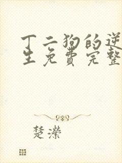 丁二狗的逆袭人生免费完整版