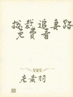 总裁追妻路漫漫 免费看