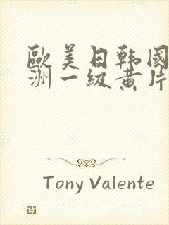 欧美日韩国产亚洲一级黄片