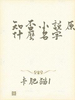 知否小说原著叫什么名字