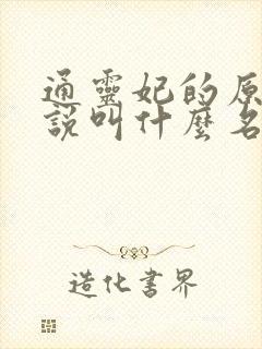 通灵妃的原著小说叫什么名字
