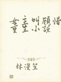 女主叫顾惜惜的重生小说