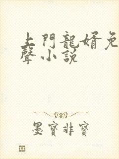 上门龙婿免费有声小说