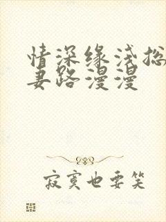 情深缘浅总裁追妻路漫漫