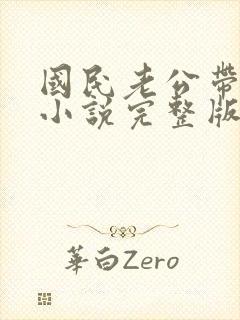 国民老公带回家小说完整版