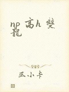 np 高h 双龙封面