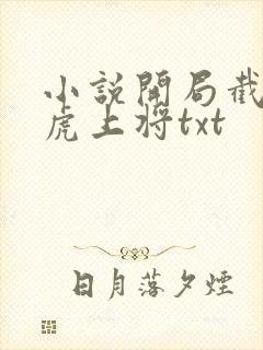 小说开局截胡五虎上将txt