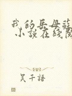 我的岳母苏沛真 小说在线阅读封面