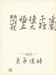 闪婚后千亿老公宠上天短剧免费