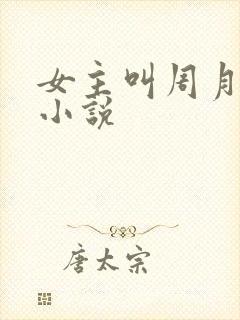 女主叫周月丫的小说