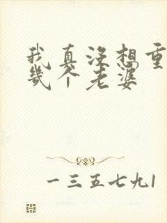 我真没想重生啊几个老婆