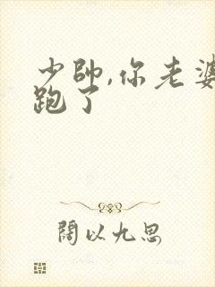 少帅,你老婆又跑了