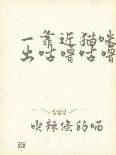 一靠近猫咪就发出咕噜咕噜的声音