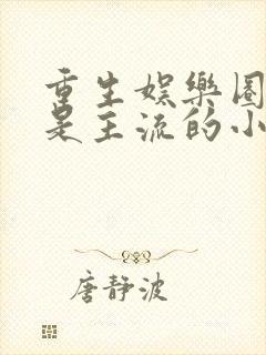 重生娱乐圈喊麦是主流的小说