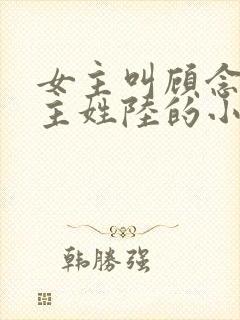 女主叫顾念念男主姓陆的小说封面