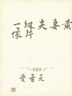 一级夫妻黄色录像片