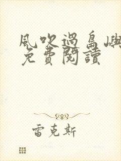 风吹过岛屿小说免费阅读