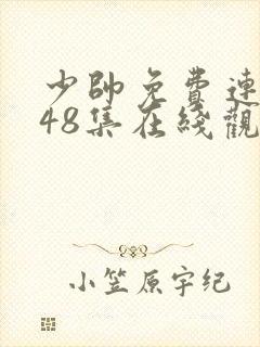 少帅免费连续剧48集在线观看高清