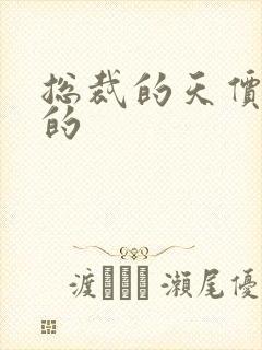 总裁的天价前妻的