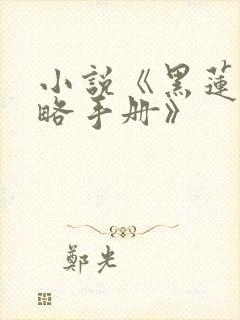小说《黑莲花攻略手册》