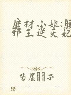 废材小姐:腹黑邪王逆天妃 叶轻轻