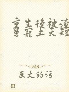 重生后被渣男舅舅宠上天短剧全集封面