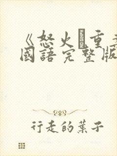 《怒火·重案》国语完整版