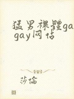 猛男裸体gay gay网站