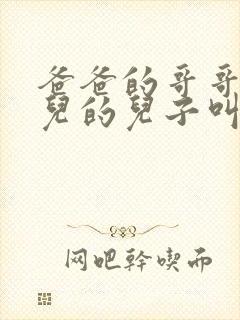 爸爸的哥哥的女儿的儿子叫我什么