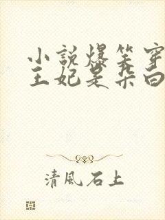 小说爆笑穿越:王妃是朵白莲花柳七白子