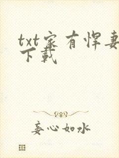txt家有悍妻下载