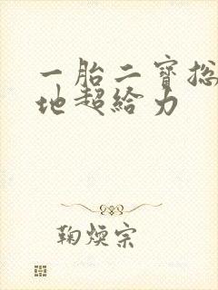 一胎二宝总裁爹地超给力封面