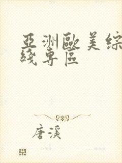 亚洲欧美综合在线专区