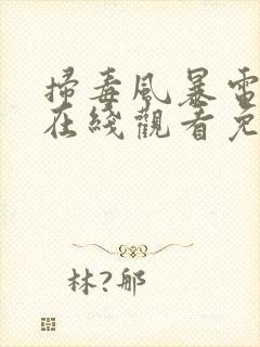 扫毒风暴电视剧在线观看免费完整版