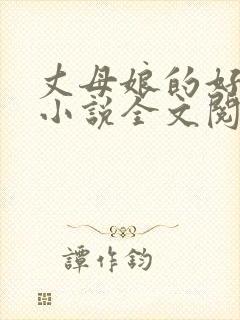 丈母娘的好女婿小说全文阅读封面