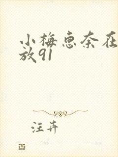 小梅惠奈在线播放91封面