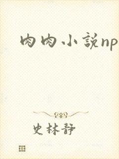 肉肉小说np文