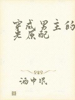 穿成男主的白月光原配封面