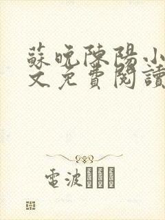 苏晚陈阳小说全文免费阅读封面