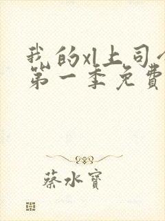 我的xl上司令第一季免费观看最新