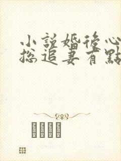 小说婚后心动凌总追妻有点甜全集下载