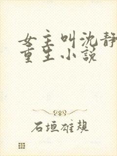 女主叫沈静姝的重生小说封面