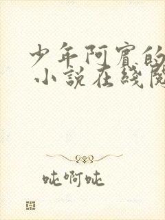 少年阿宾的故事 小说在线阅读