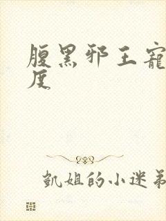 腹黑邪王宠妻无度