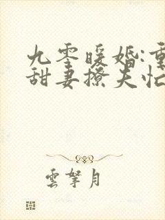 九零暖婚:重生甜妻撩夫忙正版封面