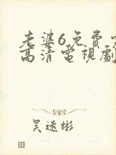 老婆6免费完整高清电视剧