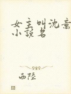 女主叫沈意欢的小说名