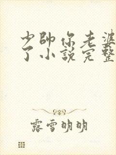 少帅你老婆又跑了小说完整版本封面