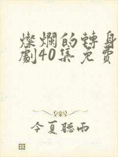 灿烂的转身电视剧40集免费观看高清