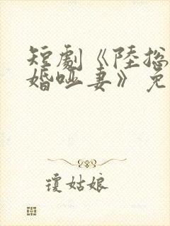 短剧《陆总的新婚哑妻》免费观看